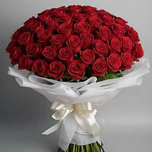 Букет 101 Красная роза Блэк Мэджик #REPLACE_PRED# Рыбном