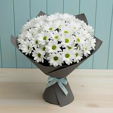 Букет цветов из:  Хризантемы #REPLACE_PRED# Рыбном