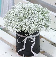 Цветочная композиция из Гипсофила в шляпной коробке #REPLACE_PRED# Рыбном