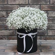 Цветочная композиция из Гипсофила в шляпной коробке #REPLACE_PRED# Рыбном